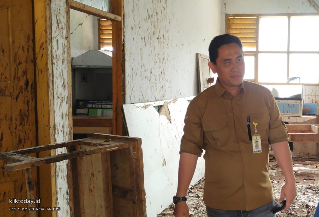 Zetta 1 E1774230414210